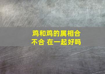 鸡和鸡的属相合不合 在一起好吗